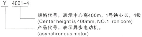 西安泰富西玛Y系列(H355-1000)高压JR128-10三相异步电机型号说明