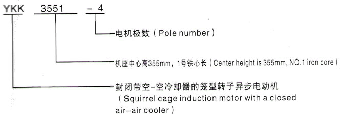 YKK系列(H355-1000)高压JR128-10三相异步电机西安泰富西玛电机型号说明