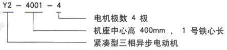 YR系列(H355-1000)高压JR128-10三相异步电机西安西玛电机型号说明